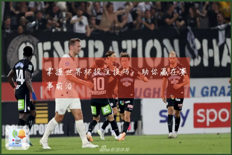 掌握世界杯投注技巧，助你赢在赛事前沿