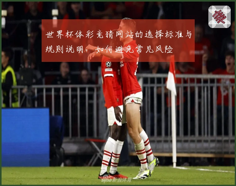 世界杯体彩竞猜网站的选择标准与规则说明，如何避免常见风险