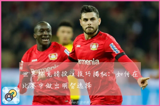 世界杯竞猜投注技巧揭秘：如何在比赛中做出明智选择
