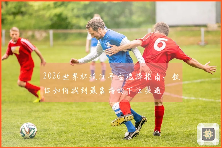 2026世界杯投注平台选择指南，教你如何找到最靠谱的下注渠道
