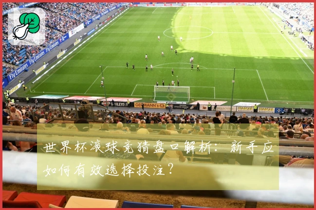 世界杯滚球竞猜盘口解析：新手应如何有效选择投注？