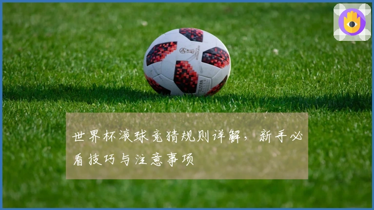世界杯滚球竞猜规则详解，新手必看技巧与注意事项