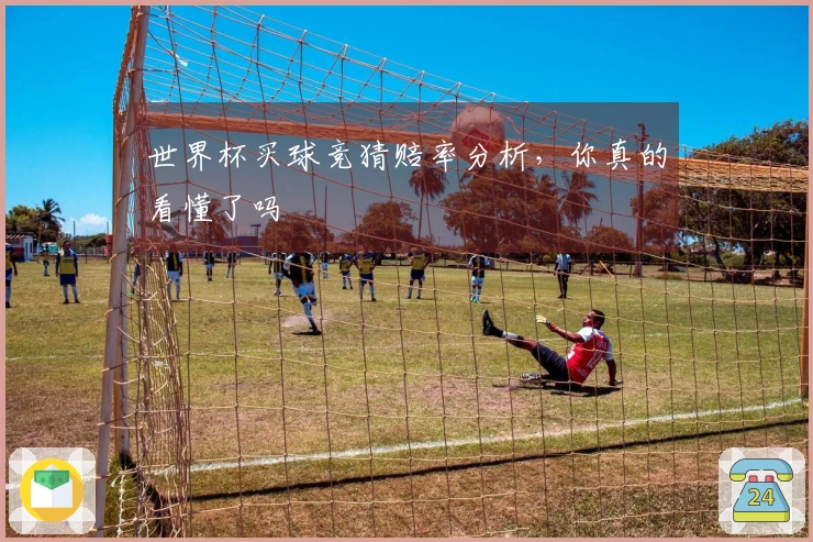 世界杯买球竞猜赔率分析，你真的看懂了吗