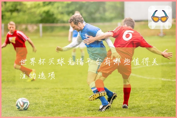 世界杯买球竞猜平台有哪些值得关注的选项