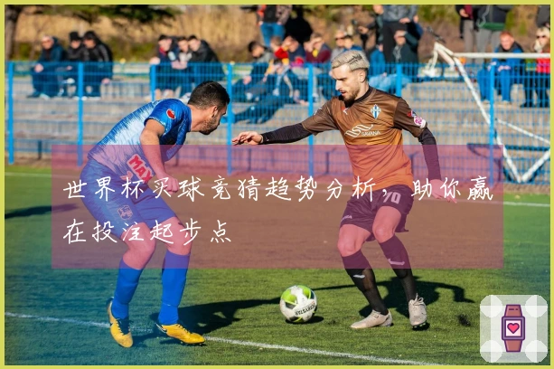 世界杯买球竞猜趋势分析，助你赢在投注起步点