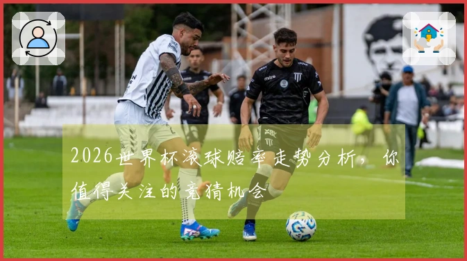 2026世界杯滚球赔率走势分析，你值得关注的竞猜机会