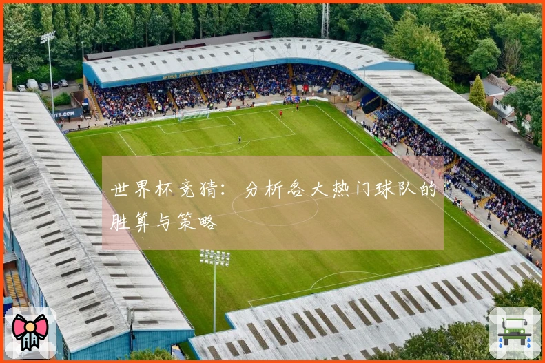 世界杯竞猜：分析各大热门球队的胜算与策略