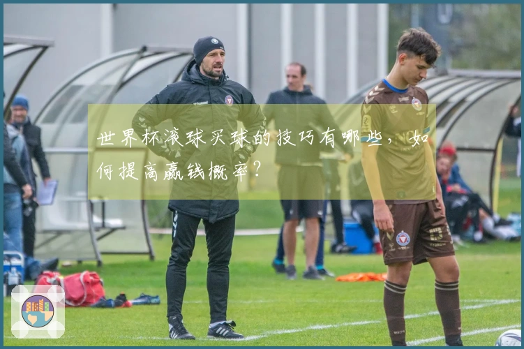 世界杯滚球买球的技巧有哪些，如何提高赢钱概率？