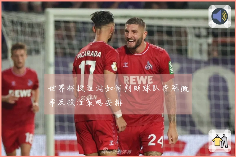世界杯投注站如何判断球队夺冠概率及投注策略安排
