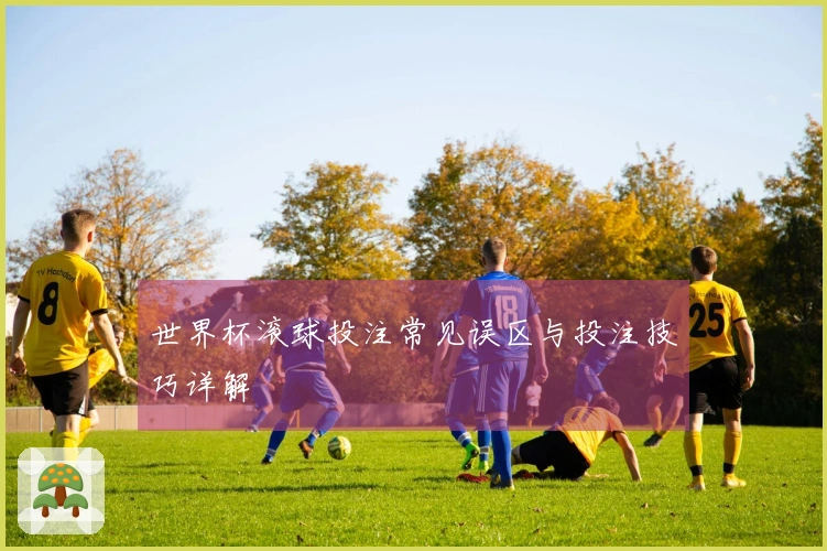 世界杯滚球投注常见误区与投注技巧详解