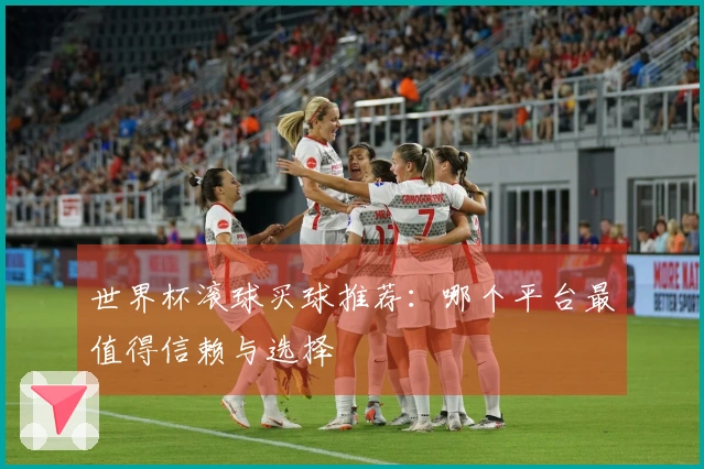世界杯滚球买球推荐:哪个平台最值得信赖与选择