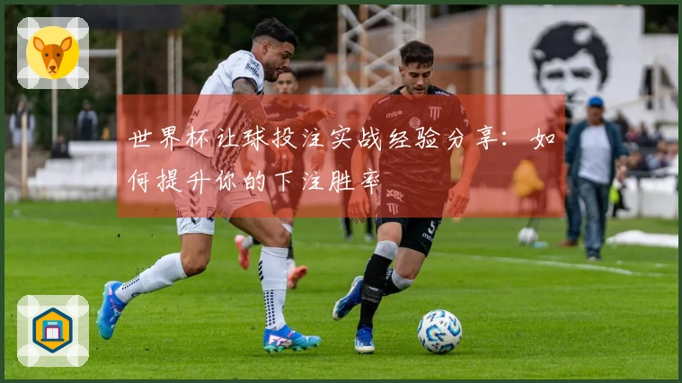 世界杯让球投注实战经验分享：如何提升你的下注胜率
