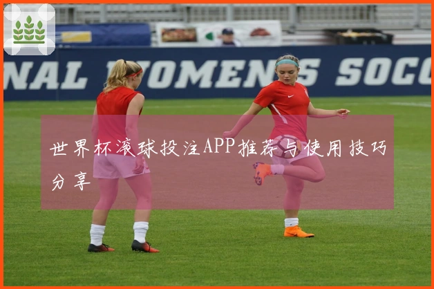 世界杯滚球投注APP推荐与使用技巧分享