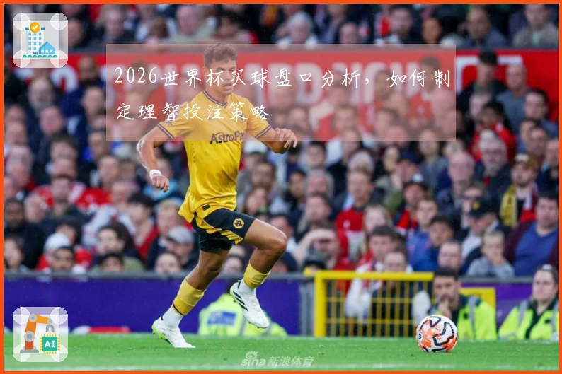 2026世界杯买球盘口分析，如何制定理智投注策略