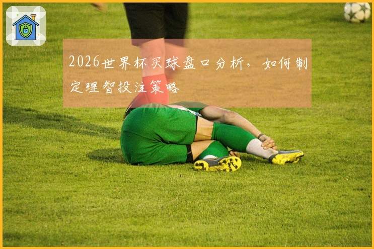 2026世界杯买球盘口分析，如何制定理智投注策略