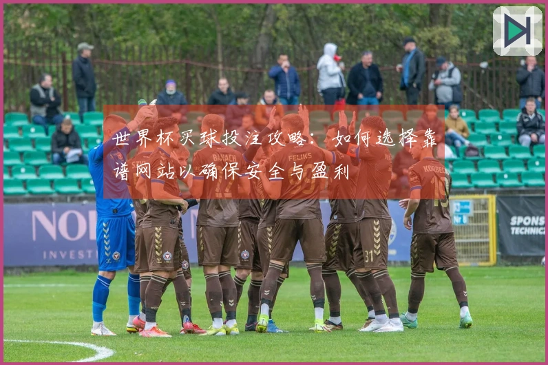 世界杯买球投注攻略：如何选择靠谱网站以确保安全与盈利