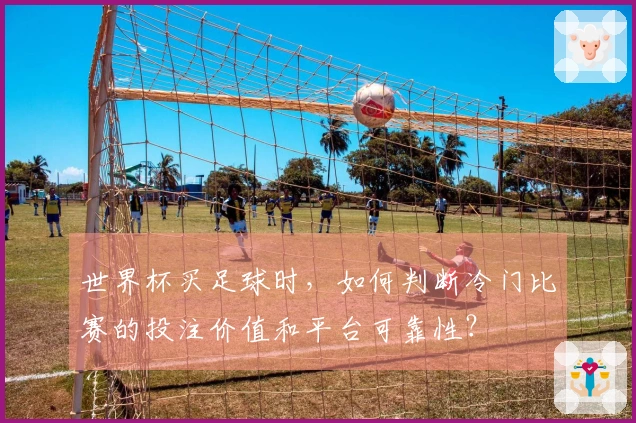 世界杯买足球时，如何判断冷门比赛的投注价值和平台可靠性？