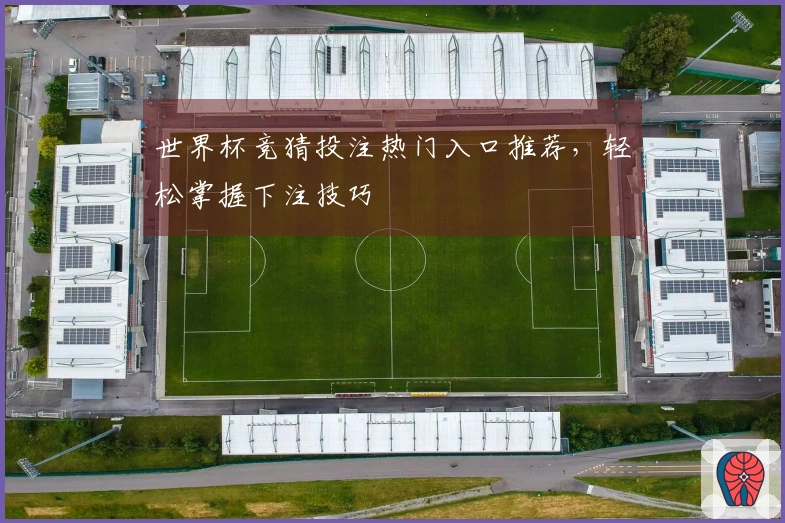 世界杯竞猜投注热门入口推荐，轻松掌握下注技巧