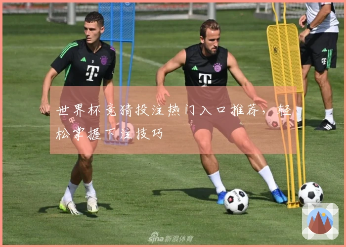 世界杯竞猜投注热门入口推荐，轻松掌握下注技巧