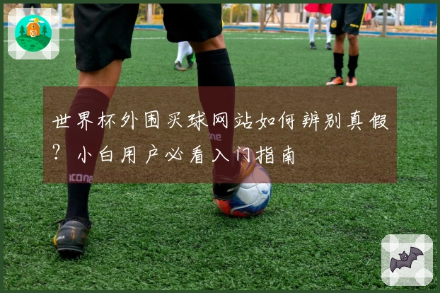 世界杯外围买球网站如何辨别真假？小白用户必看入门指南